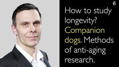 伴侣犬在抗衰老研究中的应用 
 
 
 
 伴侣犬在抗衰老研究中的应用方法 
 伴侣犬作为衰老研究的模型具有独特优势，其与人类共享生活环境、生理过程及年龄相关疾病，为抗衰老干预措施的有效性评估提供了理想平台。以下是伴侣犬在抗衰老研究中的主要应用方法： 
 1