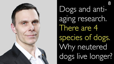 狗与抗衰老研究。犬科动物共包含4个属。为什么绝育的狗寿命更长？8